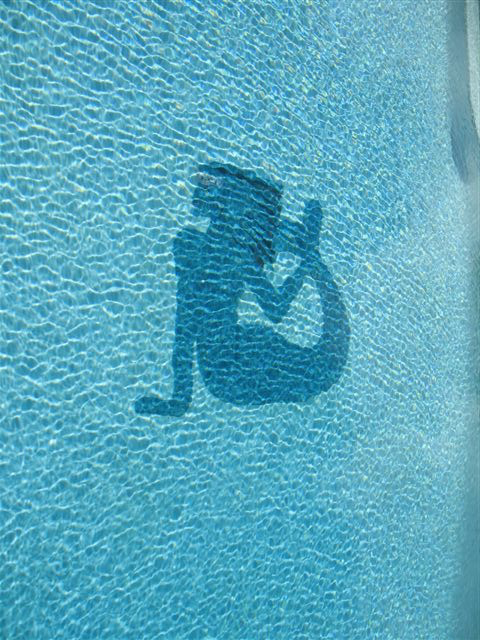 A customer in Florida using the Vortex Water Revitalizer in his swimming pool