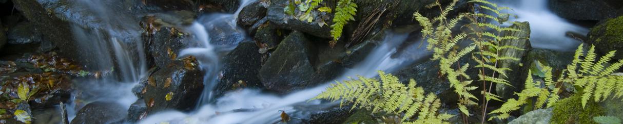 This is a vortex water revitalizer picture.